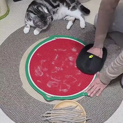 3 in 1 Fellpflege-Handschuh für Sofa, Kleidung & Haustiere